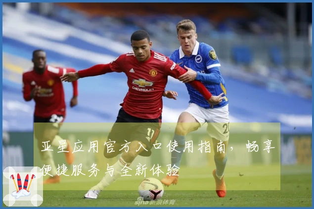 亚星应用官方入口使用指南,畅享便捷服务与全新体验