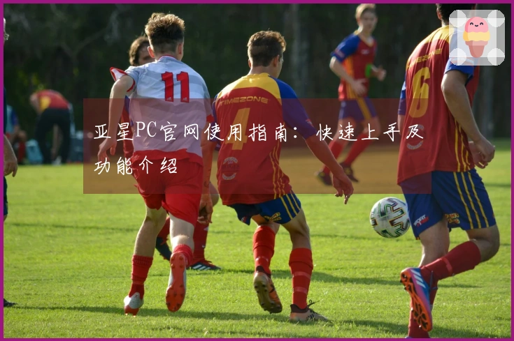 亚星PC官网使用指南：快速上手及功能介绍