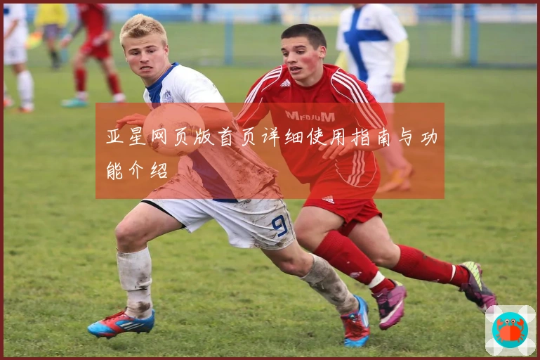 亚星网页版首页详细使用指南与功能介绍